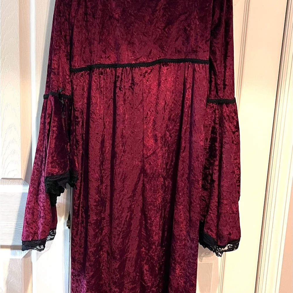 Elegant Wine Red Goth Velvet Gown - Picture 5 of 5